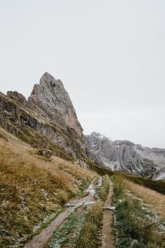 Bergweg van Seceda, Ortisei in Zuid Tirol, Italie van Wianda Bongen