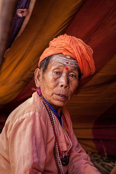 Vrouwelijke Sadhu op het hindoestaanse  Kumbh Mela festival in Haridwar India