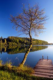 Herbst am See von Rudolf Brandstätter