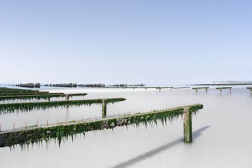 Mosselbank in rust aan de Opaalkust