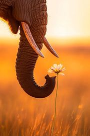 Elefant mit Blume im Sonnenlicht von Poster Art Shop