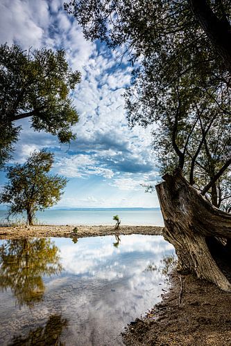Bodensee von Ansgar Peter