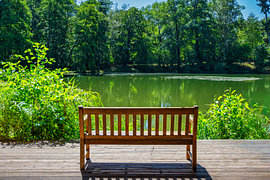 Ein Blick auf den Schlosspark von Bendeleben von Andreas Völkel