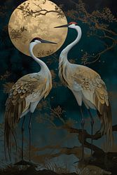 Kraanvogels