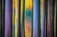 Artistic trees by Niels  de Vries thumbnail