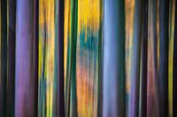 Artistic trees