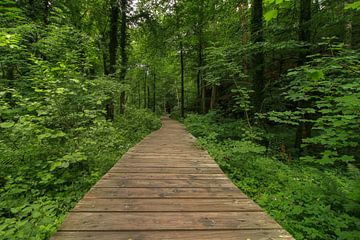 Promenade von FotoBob