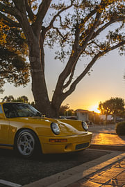 RUF Yellow Bird by Bas de Glopper