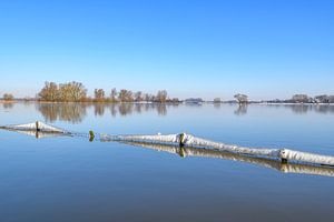 Eisige Landschaft am Fluss IJssel an einem kalten Wintermorgen