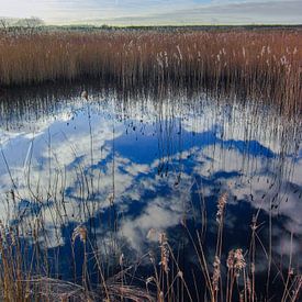 Hollandse luchten - Weerspiegeling von Robert Wagter