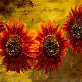 Red sunflowers - layered fine art with music and time by Saranda Foto Art