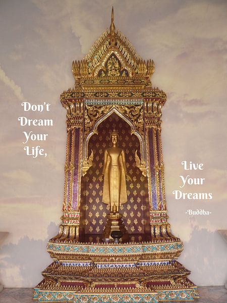 Buddha in the Clouds von Misja Vermeulen