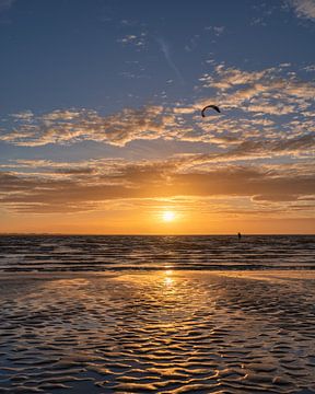 Kitesurfer bei Sonnenuntergang von Björn van den Berg