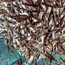 Vervlochten Vissen: Abstracte Waterdans - vierkant van Hans Kwaspen thumbnail
