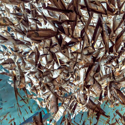 Interwoven Fish: Abstract Water Dance - square