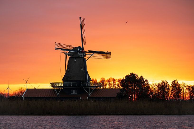 Idyllische Nederlandse molen aan het water onder een gouden ochtendlucht van Bram Lubbers