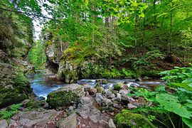 Rechenfelsen in der Haslachschlucht von Jürgen Wiesler