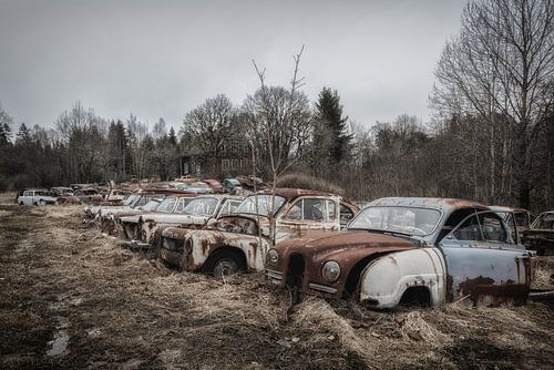 Abandoned Scrap Yard