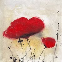 Papaver bloemen