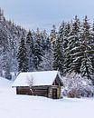 Winterlandschap in Zuid Duitsland van Henk Meijer Photography thumbnail