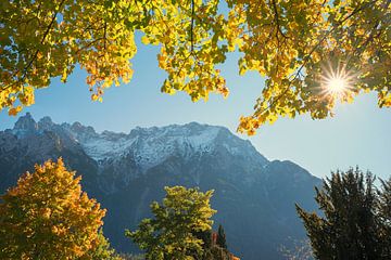 autumnal branches of maple tree and Karwendel mountains Mittenwald by SusaZoom