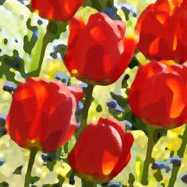 tulips red by appie bonis