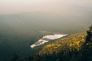Abendlicht am kleinen Arbersee