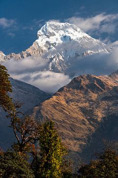 himalaya van Alex Neumayer