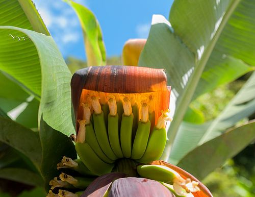 Ruta de las Cascadas