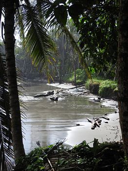 Tropisch strand in Costa Rica