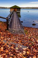 Autumn at Kochelsee