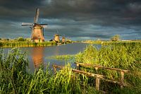 Kinderdijk at sunset