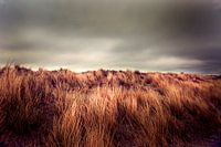 Dunes