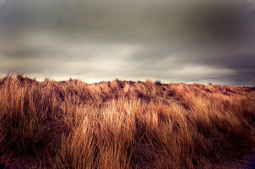 Les dunes par Saskia Staal