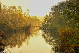 Lumière d'automne au bord de l'eau