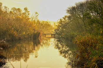 Lumière d'automne au bord de l'eau