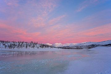 Arctisch winter landschap van Arina Kraaijeveld