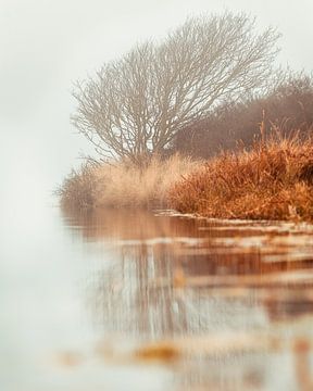 boom in mist van Photowski