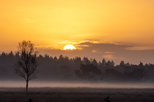 Lever du soleil