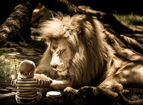 Leeuw met baby beeldmanipulatie van Sarah Richter