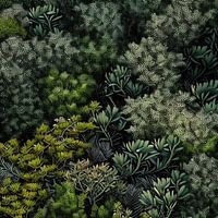 Pointillistisch bos van bovenaf