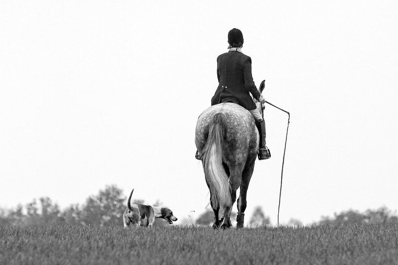 Whipp met foxhound van Wybrich Warns