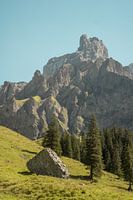 Mountain peak above Swiss alm