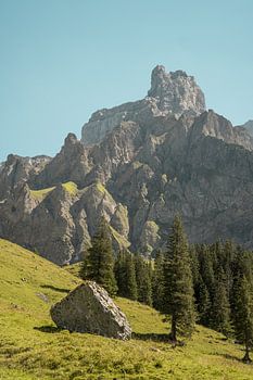 Berggipfel über Schweizer Alpweide