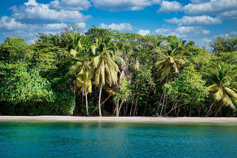 Uitzicht op een strand op St. Vincent in het Caribisch gebied van Andreas Völkel