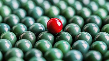 Individualiteit van Frank Heinz