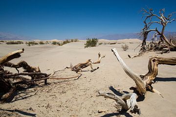 Death Valley, eenzaam en verlaten van De wereld door de ogen van Hictures