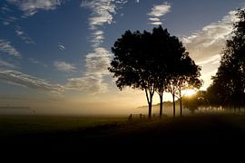 Polderlandschap,  Nederland van Sebastiaan Terlouw
