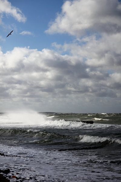 Oostzeestorm van Ostsee Bilder