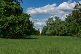 Luminous Meadow Sanctuary – Parkland Tower Vista für ein sonnendurchflutetes Wohnzimmer von Angelus H